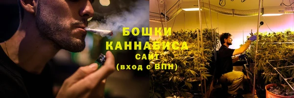 хмурый Богородск