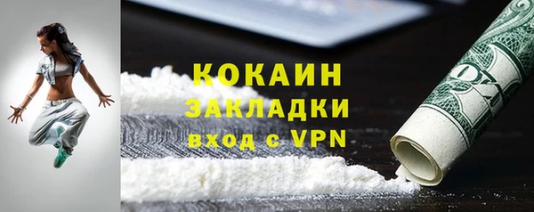 PSILOCYBIN Богданович