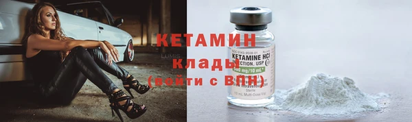 шишки Богородицк