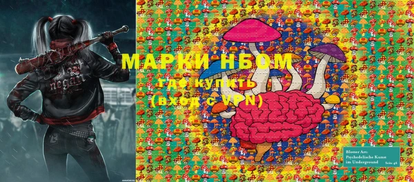 шишки Богородицк