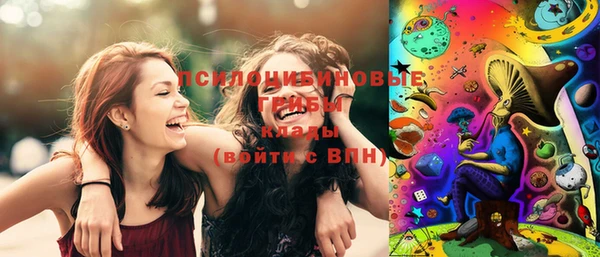 PSILOCYBIN Богданович