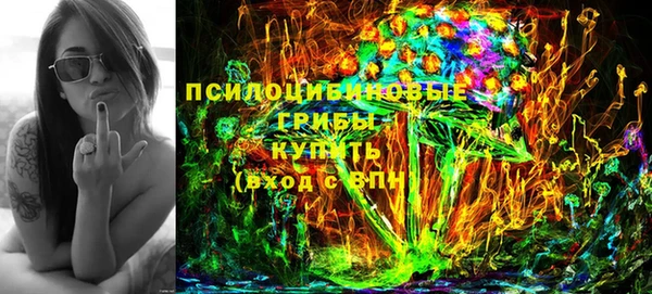 шишки Богородицк