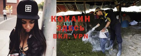 шишки Богородицк