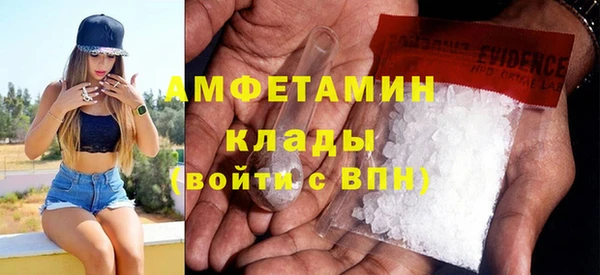 шишки Богородицк