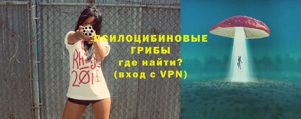 хмурый Богородск