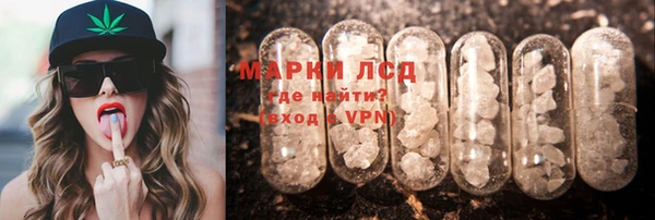 шишки Богородицк