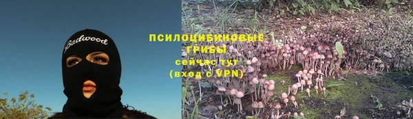 PSILOCYBIN Богданович