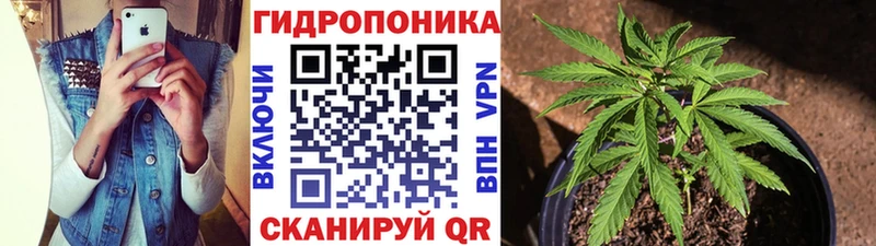 Бошки марихуана THC 21% Михайлов